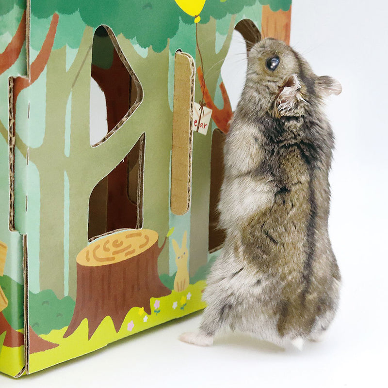 Mini Animan Cardboard Playland - Forest for Hamsters