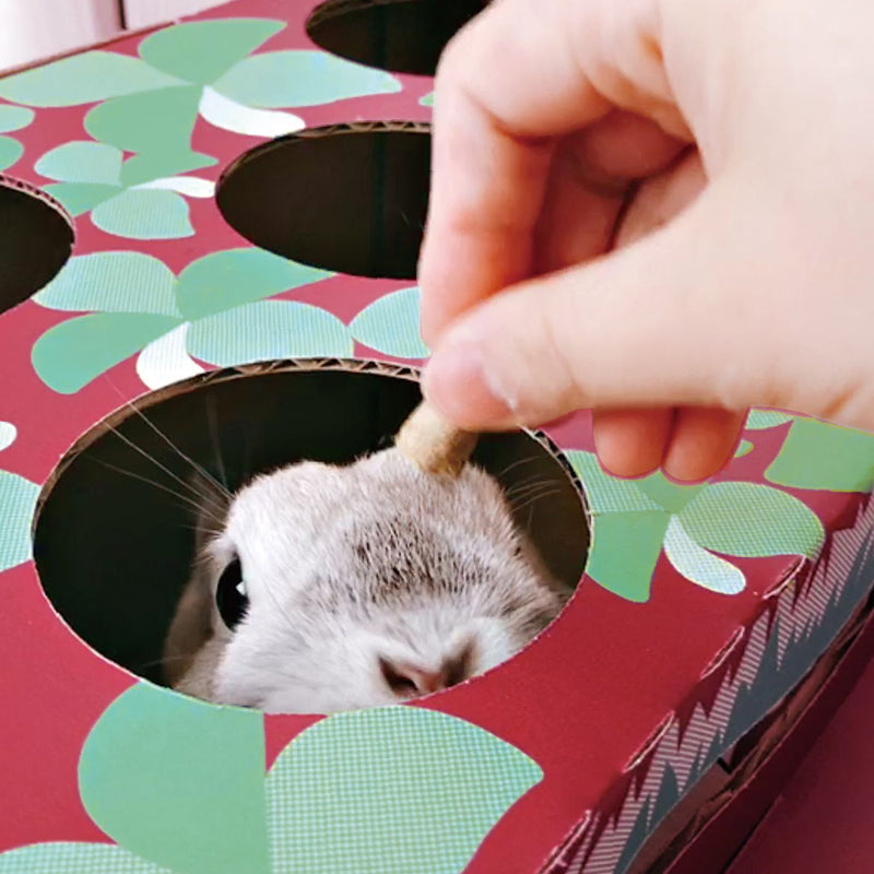 Mini Animan Playing House For Rabbit