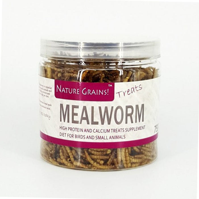 Nature Grains Treats Mealworm 75g