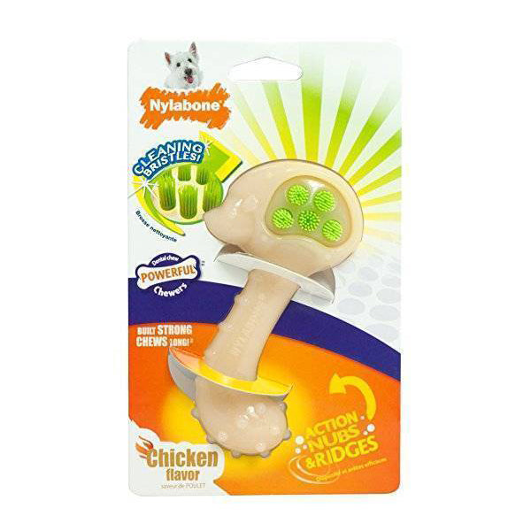 Nylabone Dental Chew Hedgehog Bristle Brush - Regular