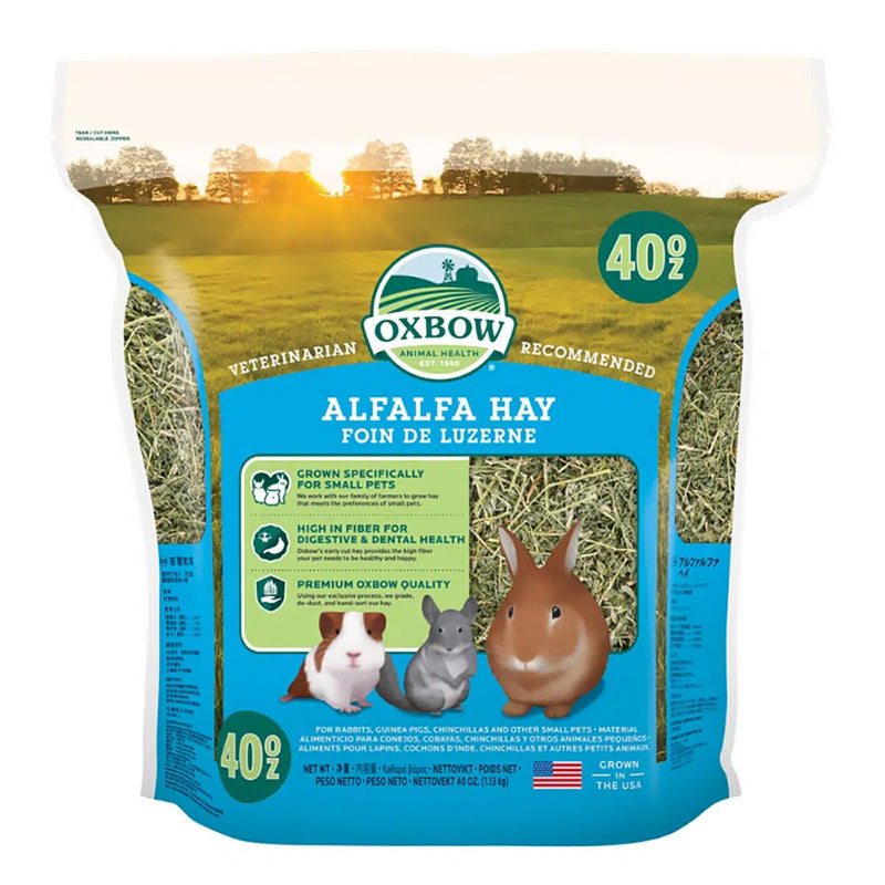 Oxbow Alfalfa Hay 40oz