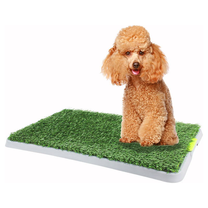 Pawise Puppy Green Trainer Replacement Grass Mat