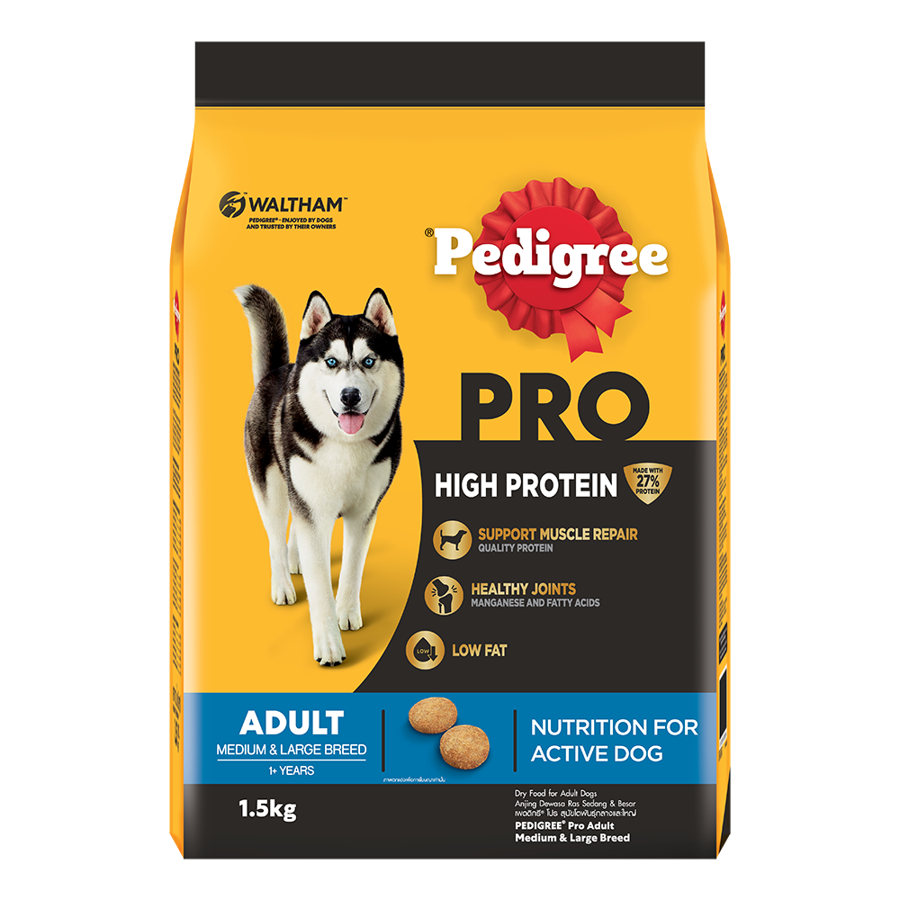 Pedigree 5kg hot sale
