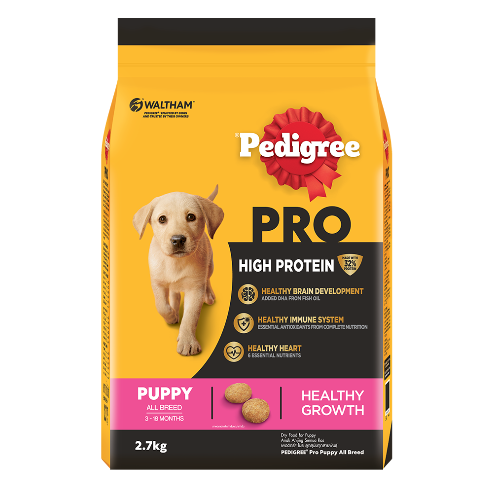 Pedigree 7kg best sale