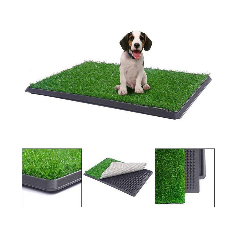 Pet Potty 3-Piece Dog Relief System with Grass Patch 20" x 25"