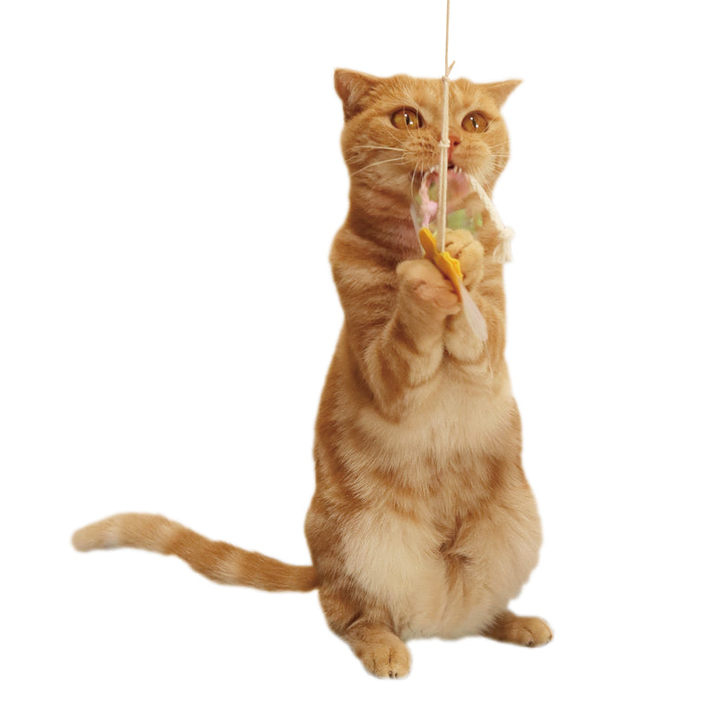 Petz Route Cat Toy Rustling Toy with Paper String Butterfly