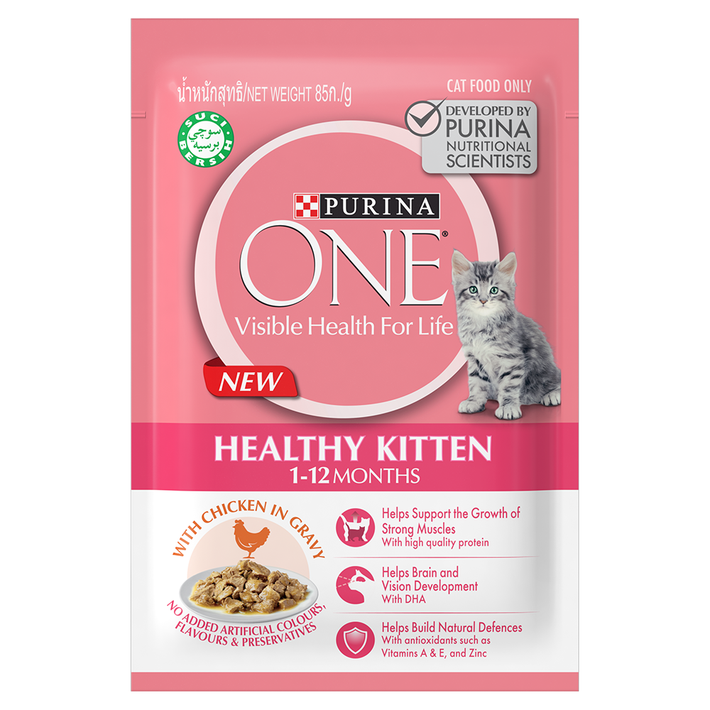 Purina one cat deals treats