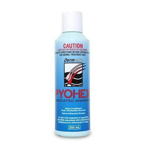 Dermcare Pyohex Medicated Shampoo For Dogs 250ml