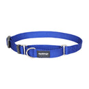 Red Dingo Dog Martingale Collar Blue (12mm x 21-33cm)
