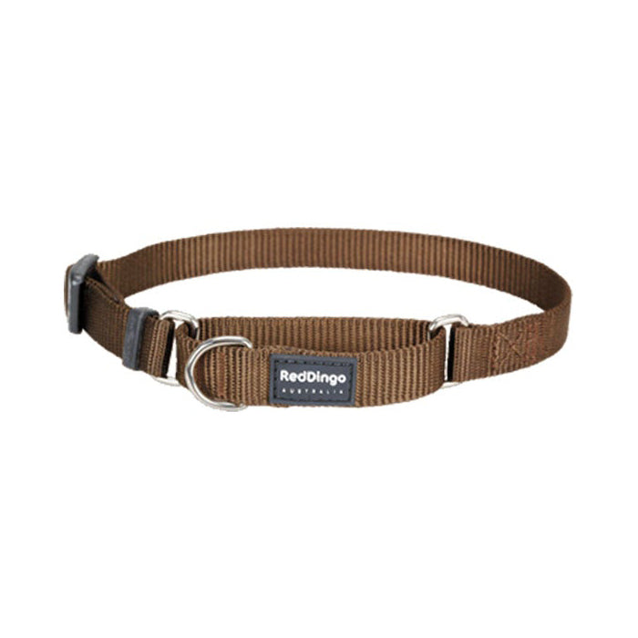 Red Dingo Dog Martingale Collar Brown (12mm x 21-33cm)