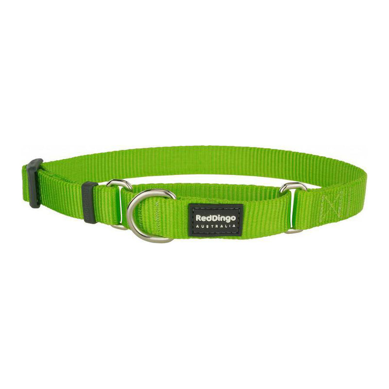 Red Dingo Dog Martingale Collar Lime (15mm x 24-36cm)