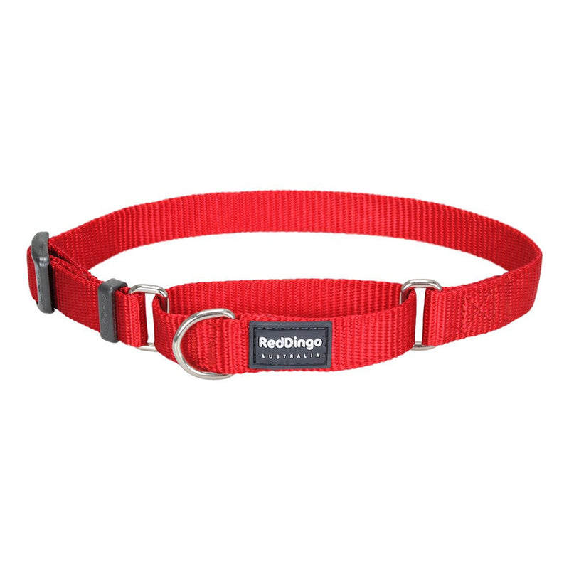 Red Dingo Dog Martingale Collar Red (20mm x 32-47cm)