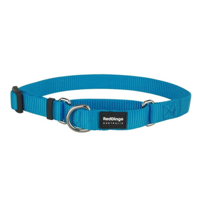 Red Dingo Dog Martingale Collar Turquoise (12mm x 21-33cm)