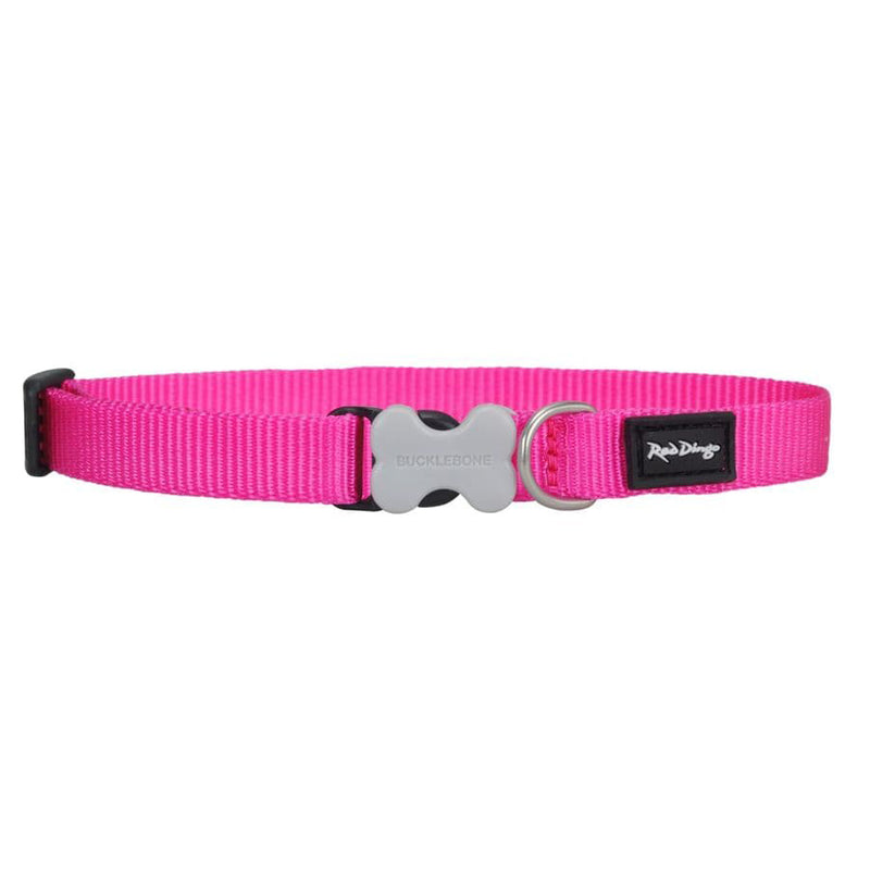 Red Dingo Dog Collar Hot Pink (20mm x 31-47cm)