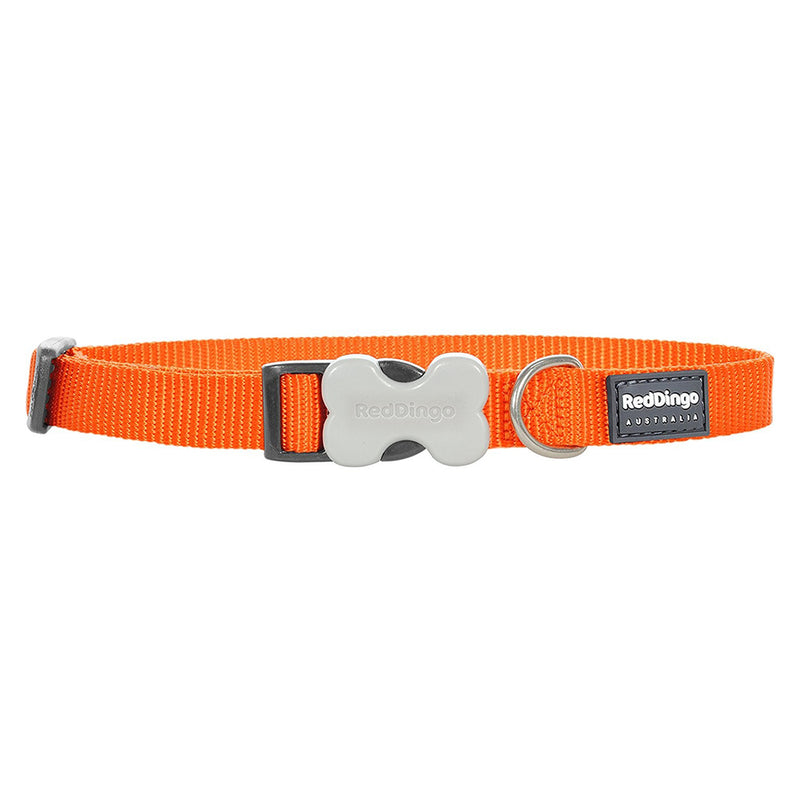 Red Dingo Dog Collar Orange (15mm x 24-36cm)