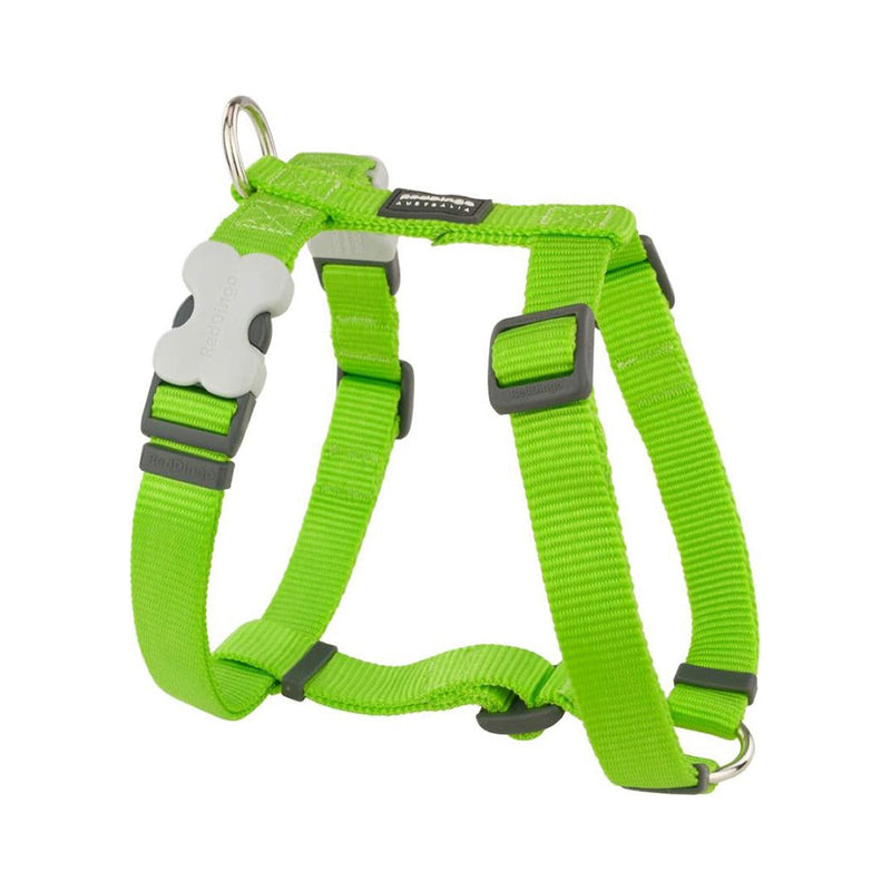 Red Dingo Dog Plain Harness Classic - Large Lime
