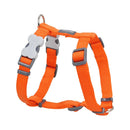 Red Dingo Dog Plain Harness Orange M 20mm