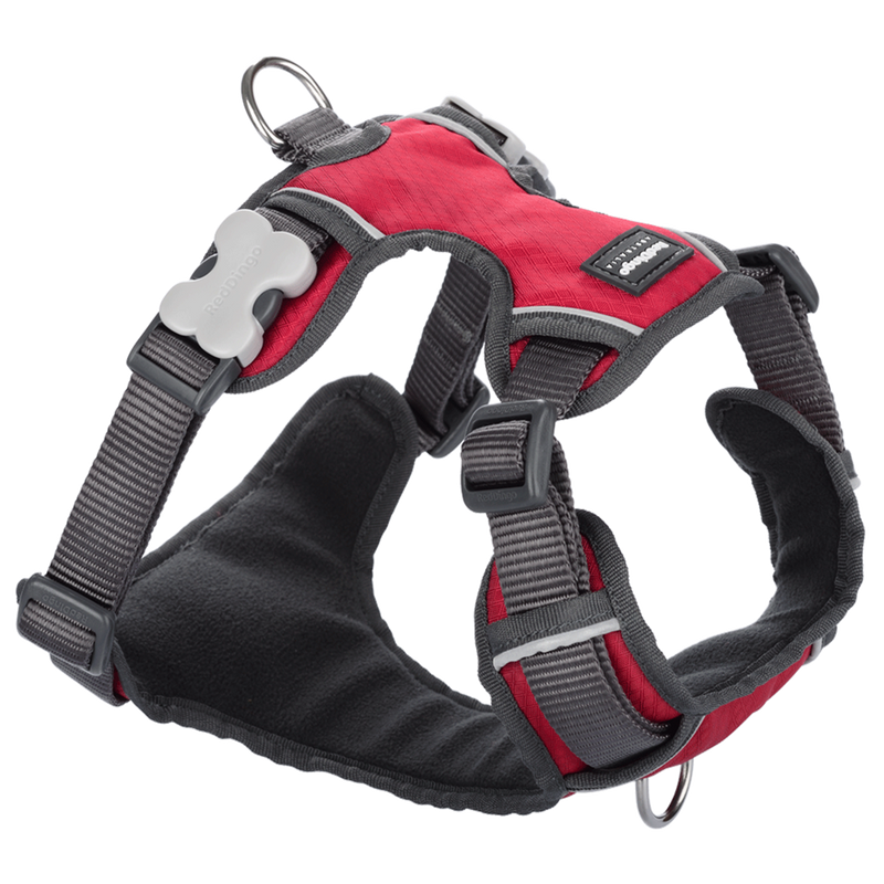 Red Dingo Padded Harness Red XL