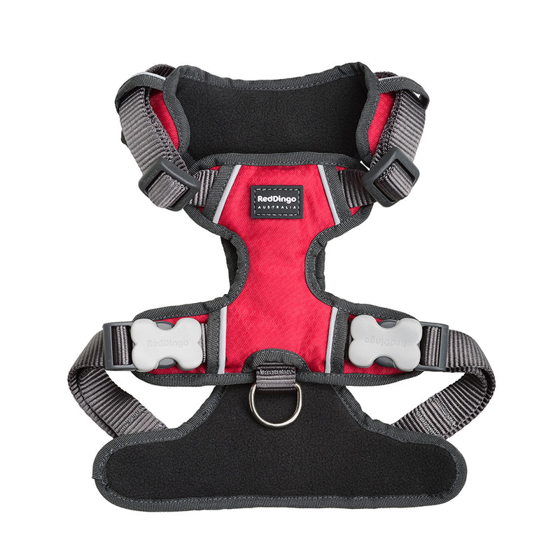 Red Dingo Padded Harness Red S