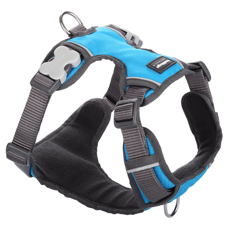 Red Dingo Padded Harness Turquoise XL