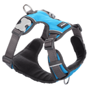 Red Dingo Padded Harness Turquoise M