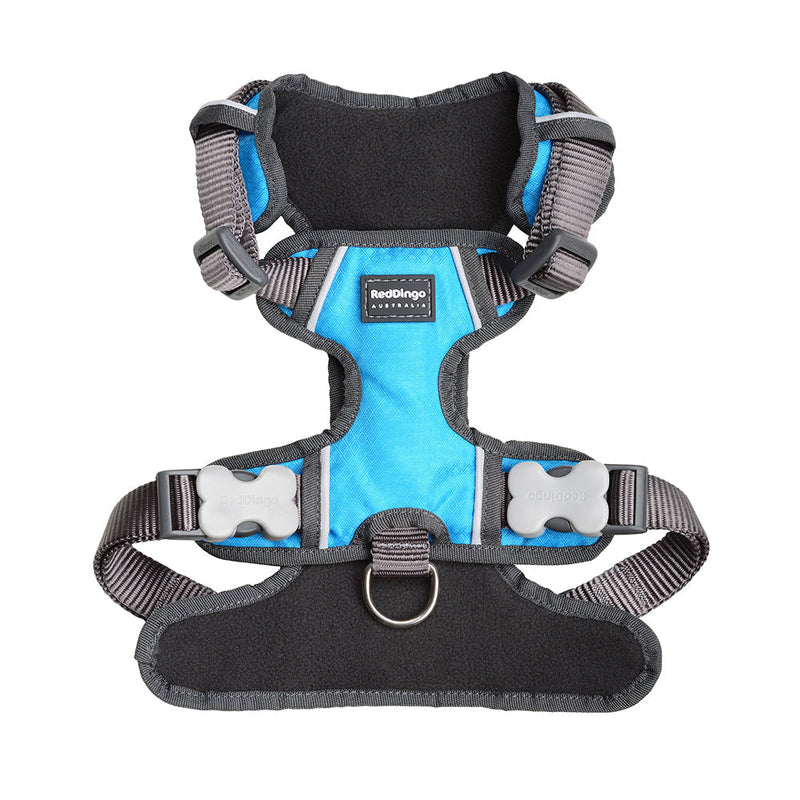 Red Dingo Padded Harness Turquoise XL