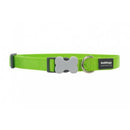 Red Dingo Dog Collar Lime Green (20mm x 31-47cm)