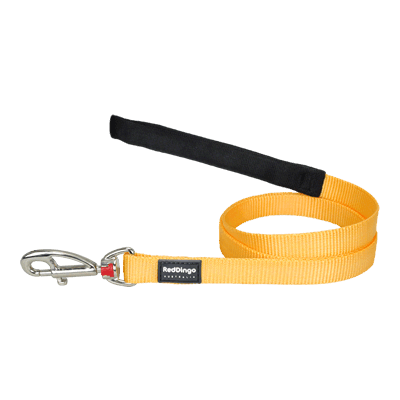 Red Dingo Dog Fixed Lead Plain - Classic Yellow Large (1.2m)