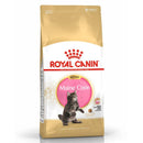 Royal Canin Feline - Maine Coon Kitten 400g (EXPIRY 13 DEC 2025)