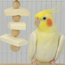Sanko Wild Cuttlebone Stick Toys for Birds