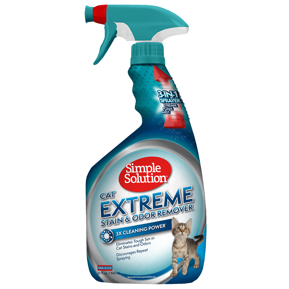 Cat Housing Needs Housekeeping