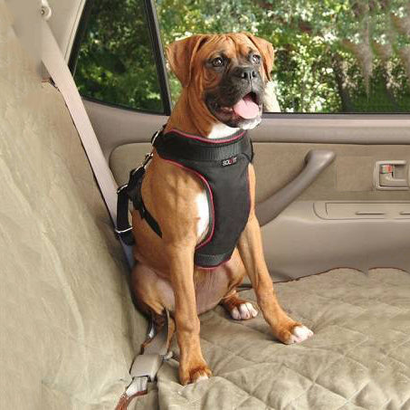 Solvit harness outlet
