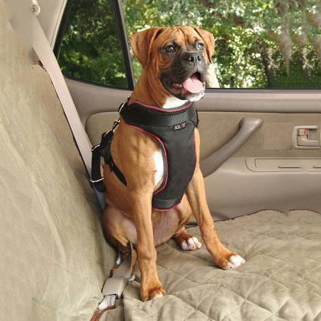 Solvit Pet Vehicle Safety Harness L
