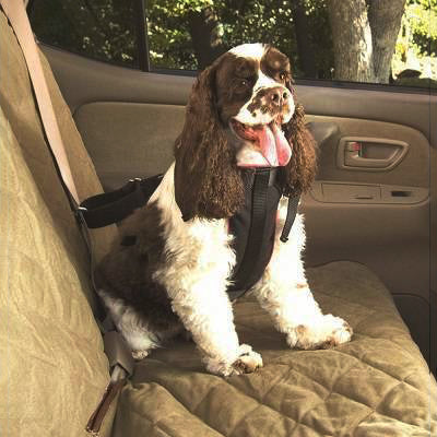 Solvit vehicle best sale safety harness