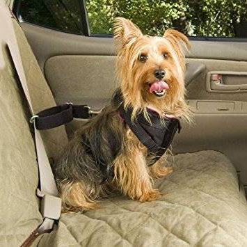 Solvit dog car harness top