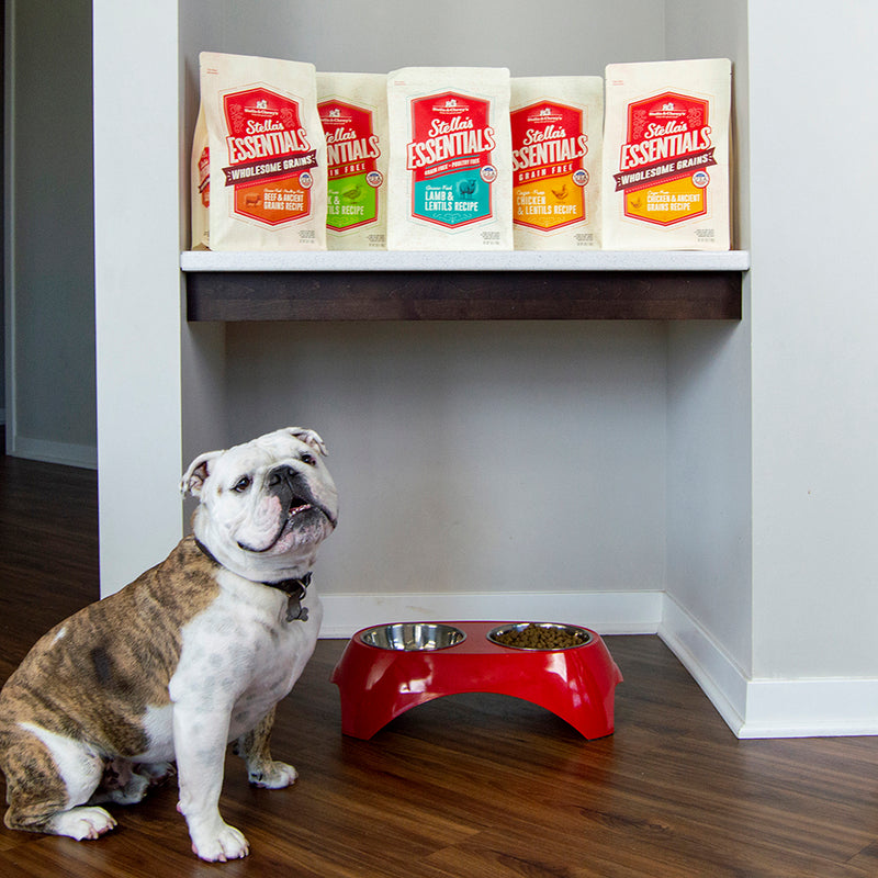 Stella Chewy s Dog Stella s Essentials Wholesome Grains Whitefish A