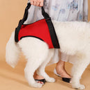 Tailup Dog Back Lift Support Harness Red M