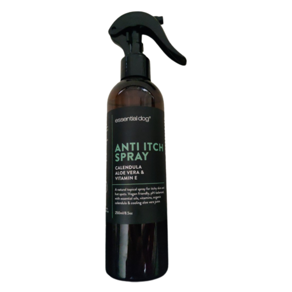 Essential oil anti itch spray for dogs hot sale