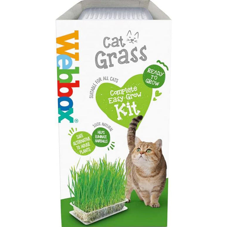 Webbox Cat Grass 120g