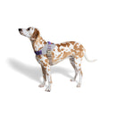 Zee.Dog FlyHarness ACG Size 2