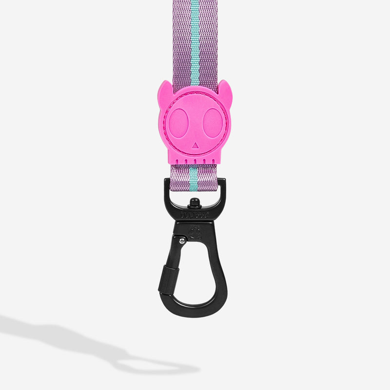 Zee.Dog Leash Aura XS