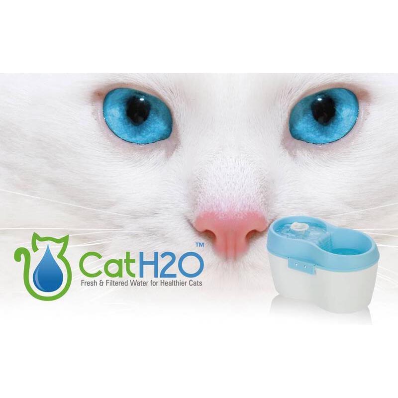 Cat H2O Fresh & Filtered Water for Healthier Cats Drinking Fountain Blue