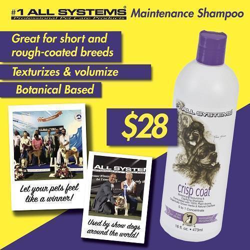 #1 All Systems Crisp Coat Texturizing Shampoo 16oz