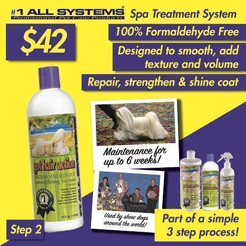 #1 All Systems Got Hair Action Smoothing Serum Conditioner 16oz