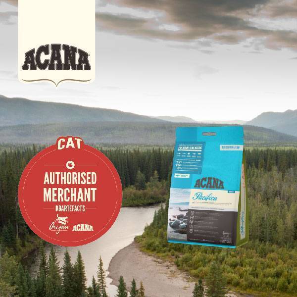 Acana Cat & Kitten Regional Pacifica 340g
