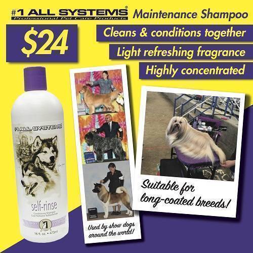 #1 All Systems Self-Rinsing Shampoo 16oz