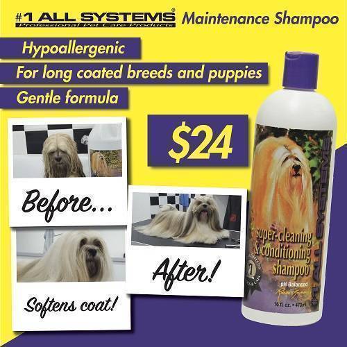 #1 All Systems Super Cleaning & Conditioning Shampoo 16oz